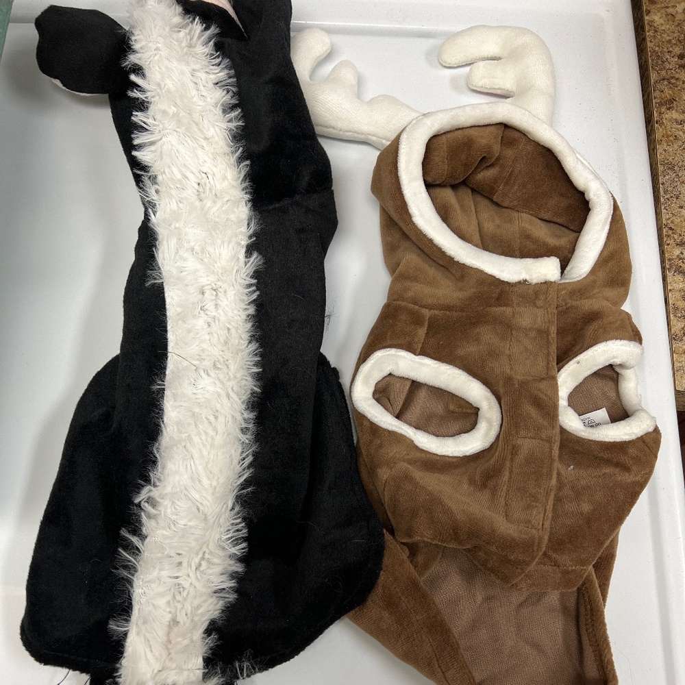 Costumes - Picture 8 of 8